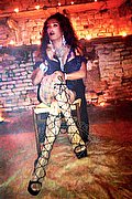 Mestre mistress transex Lady Paolina 333 2910933 foto hot 2