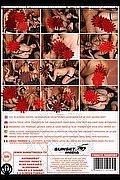 Montemarciano mistress transex Padrona Drielly Riuston Pornostar 329 3405776 foto sexystar 6
